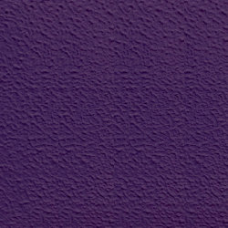 Колер фиолетовый для RAPTOR™ U-POL, Титан, Бронекор