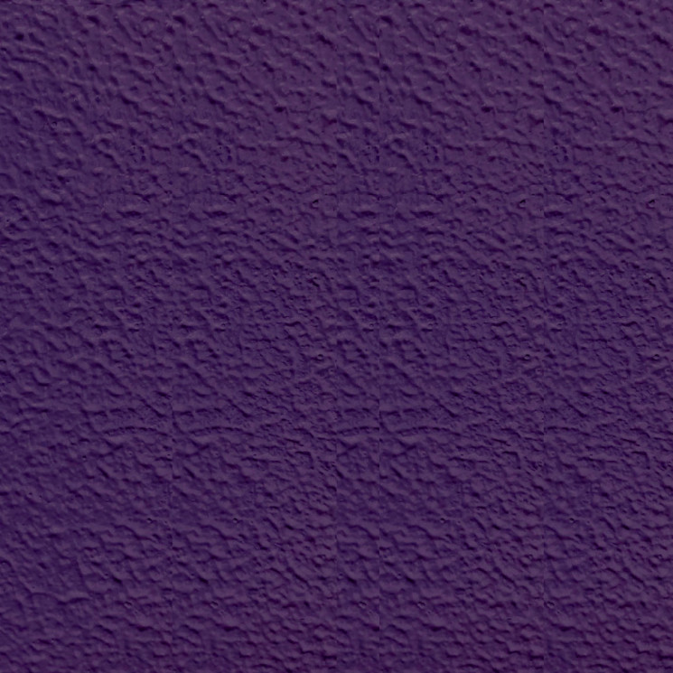 Колер фиолетовый для RAPTOR™ U-POL, Титан, Бронекор