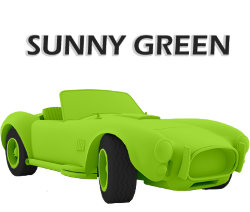Sunny Green - зеленый колер для 5л. готового материала